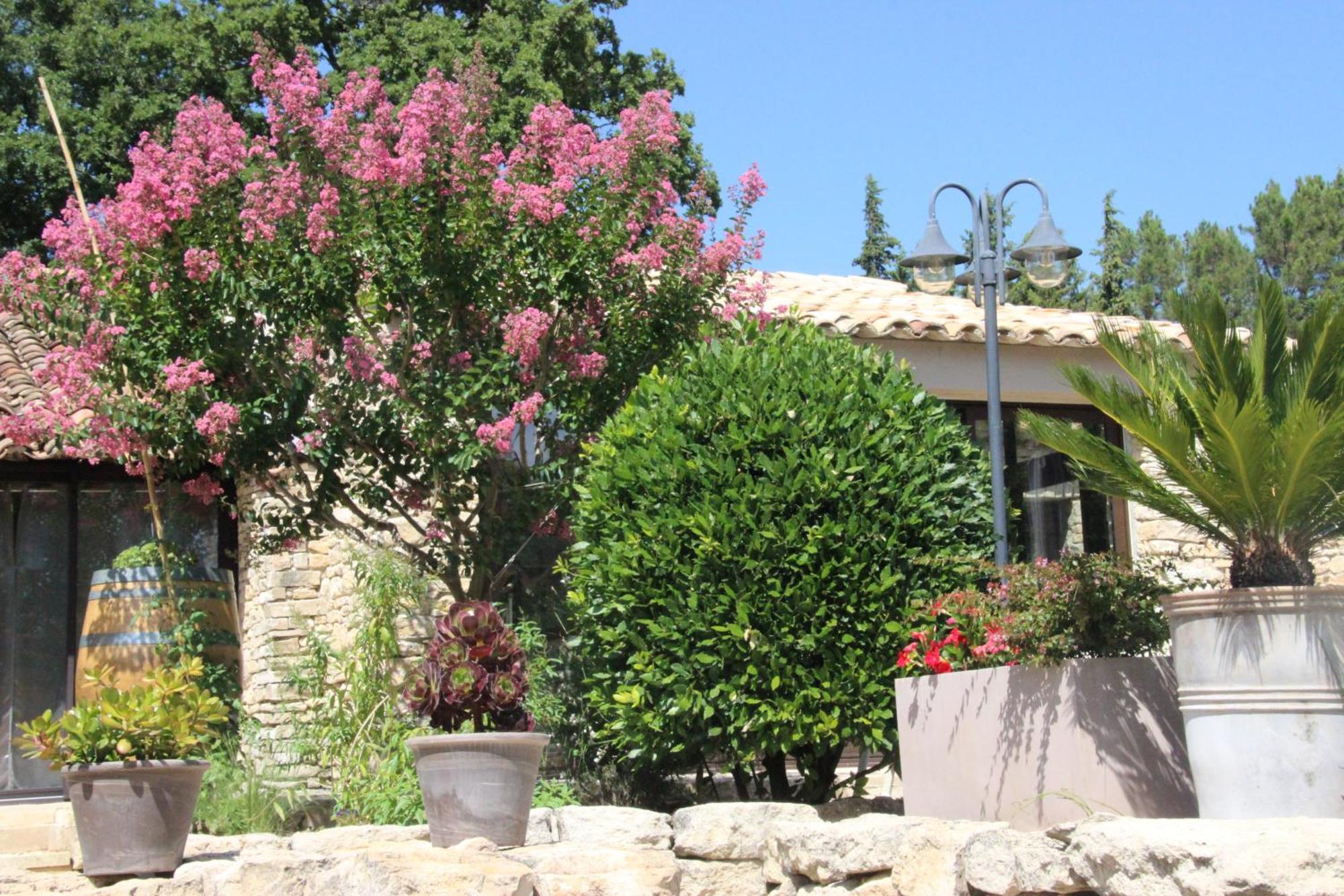 Fleur De Lavande Gordes Exterior photo